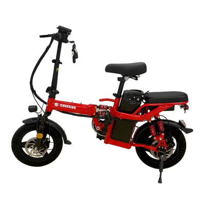 Two Seater Folding E-Bike with Pedals & Detachable Battery