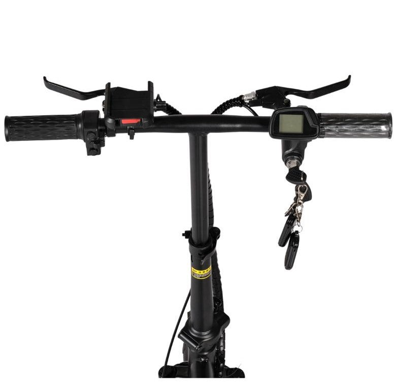 Two Seater Folding E-Bike with Pedals & Detachable Battery