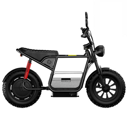 WindHorse D1 fat tire multi-terrain e-bike with storage basket