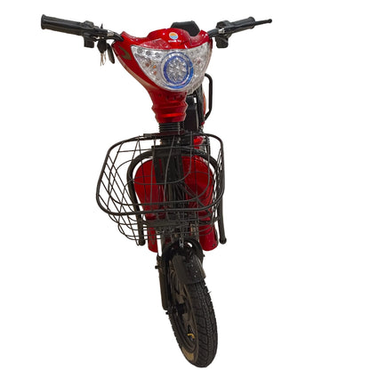 Electric Delivery Bike Front View