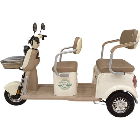 F7 Tri-Wheel Three Seater Panda Style Electric Golf Cart-GIGILHUB
