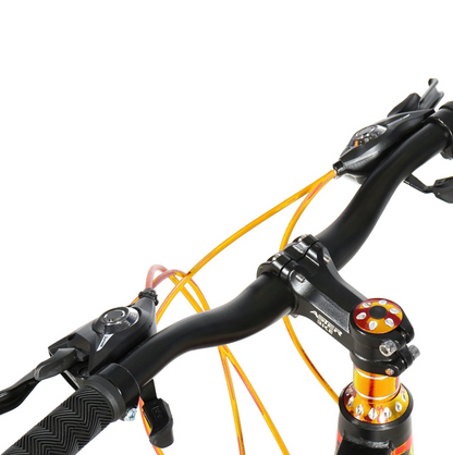 ASTER P-525 Bicycle 26 Inches 21 Gears Mountain Bike