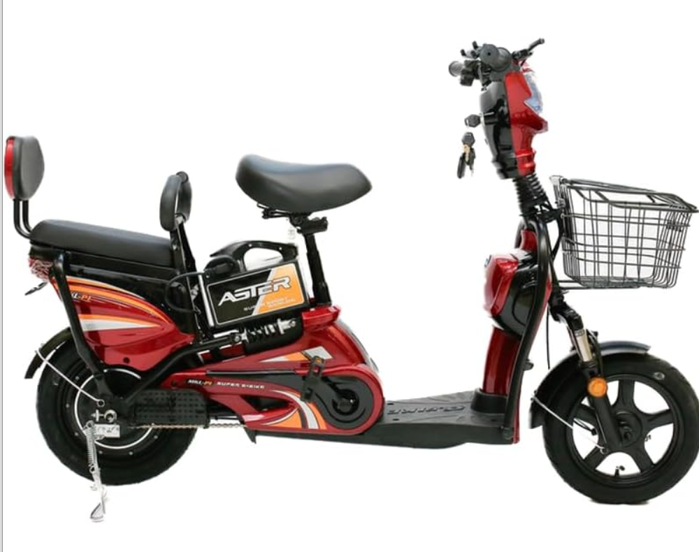 ASTER Two Seater Delivery E-Bike with Pedals