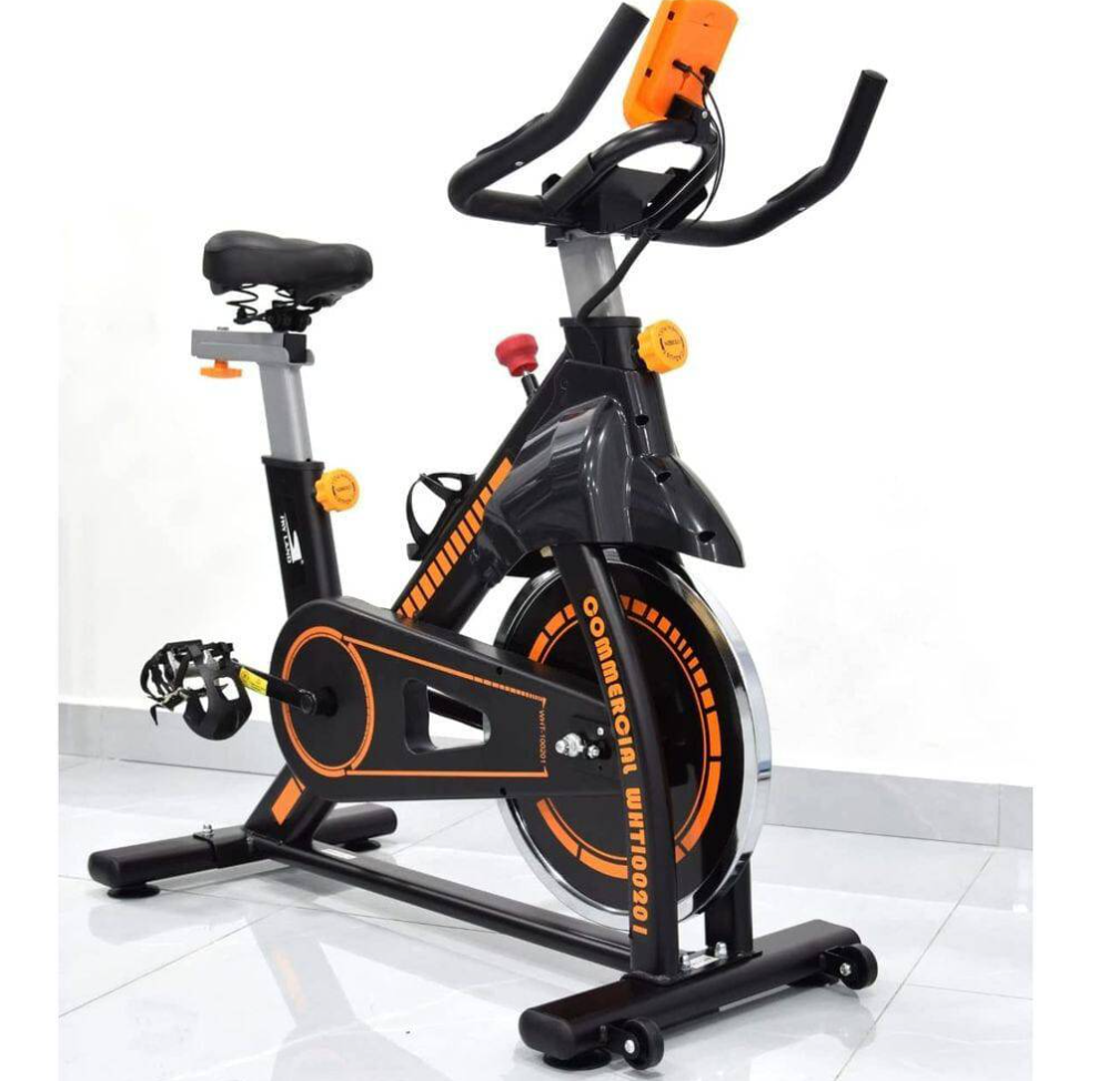 SkyLand EM-1560 Home Fitness Exercise Bike
