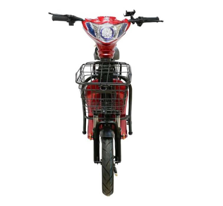ASTER Two Seater Delivery E-Bike with Pedals