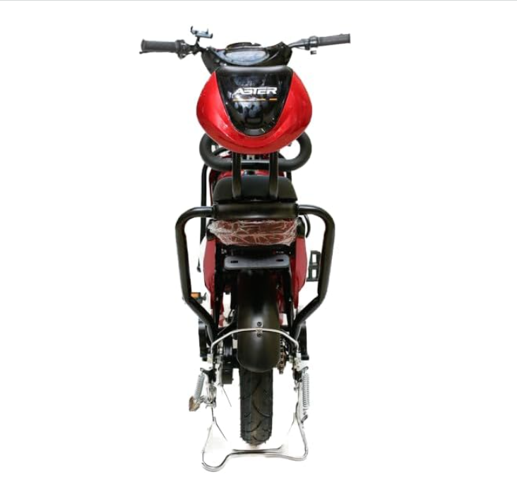 ASTER Two Seater Delivery E-Bike with Pedals