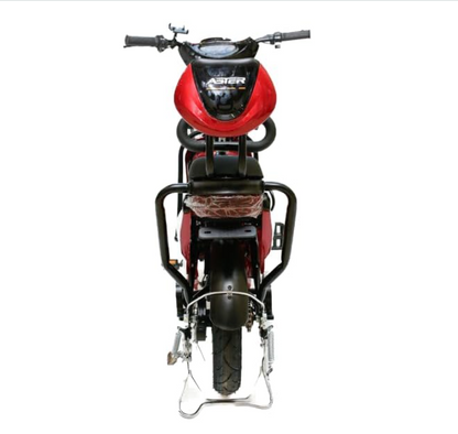 ASTER Two Seater Delivery E-Bike with Pedals