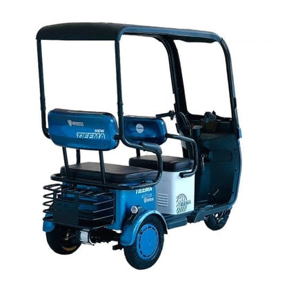 S5 Tri-Wheel E-Scooter with Roof Back view -A