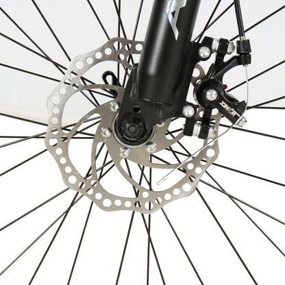 ASTER 21 Gears & 26 Inches Mountain Bicycle