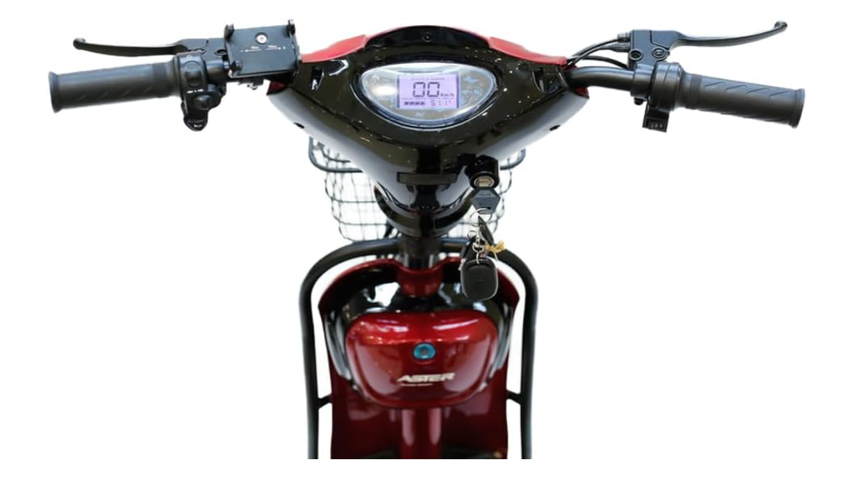 ASTER Two Seater Delivery E-Bike with Pedals