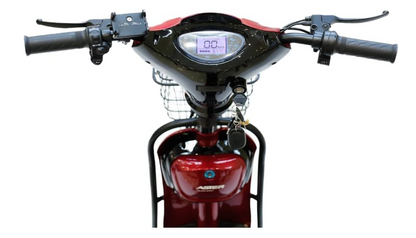 ASTER Two Seater Delivery E-Bike with Pedals