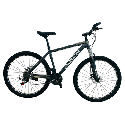 ASTER 29 Inches 21 Gears Slim Tires Bicycle