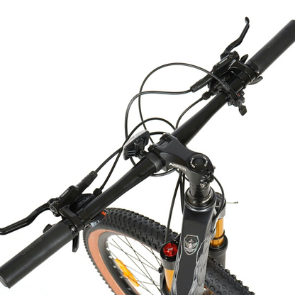 ASTER 27 Gears 26 Inches Magenision Frame Mountain Bicycle
