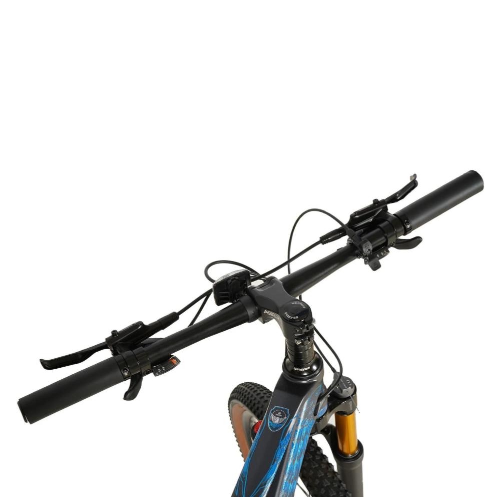 ASTER 27 Gears 26 Inches Magenision Frame Mountain Bicycle