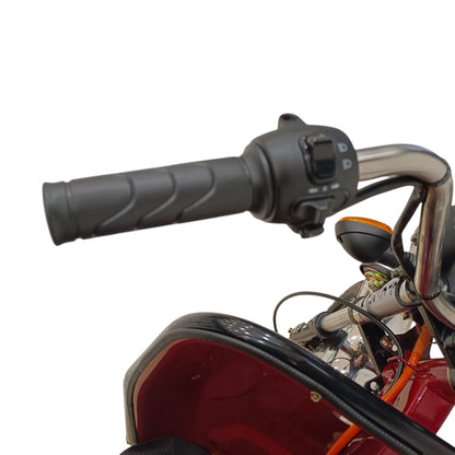 Left handlebar controls with light and reverse mode switches.