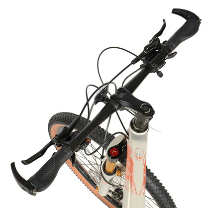 ASTER 27 Gears 26 Inches Magenision Frame Mountain Bicycle