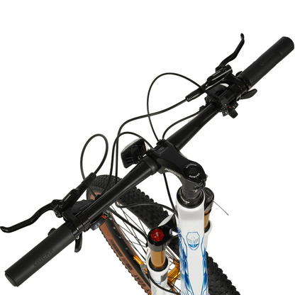ASTER 27 Gears 26 Inches Magenision Frame Mountain Bicycle